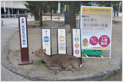 Signs at  Nara Park
