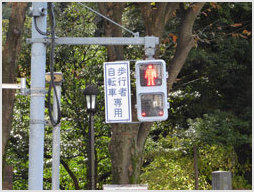 Street crossing outside Rikugien Gardens, Tokyo