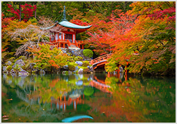 Autumn trees and beautiful bridge at Daigo-ji temple, Kyoto