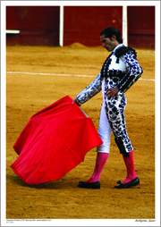 Bullfighter, Spain