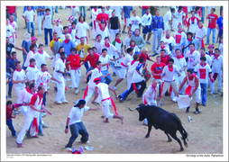 Running of the bulls, Pamplona
