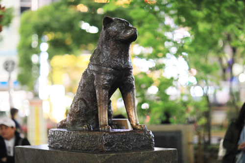 Hachiko, the loyalty dog, statue in Shibuya, Tokyo